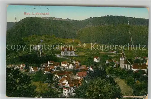 AK / Ansichtskarte Bad Liebenzell Panorama Kat. Bad Liebenzell