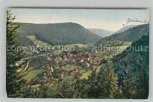 AK / Ansichtskarte Bad Liebenzell Panorama Kat. Bad Liebenzell