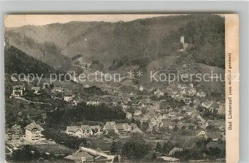 AK / Ansichtskarte Bad Liebenzell Panorama Kat. Bad Liebenzell