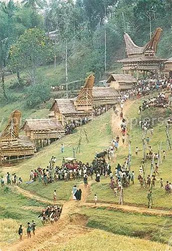 AK / Ansichtskarte Tana Toraja Morning ceremony