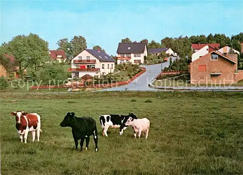 AK / Ansichtskarte Hoesseringen Blick zum Boetzelberg Viehweide Kuehe Kat. Suderburg