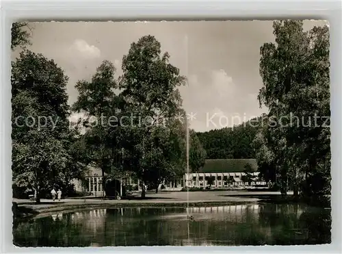 AK / Ansichtskarte Bad Liebenzell Kurpark Kat. Bad Liebenzell