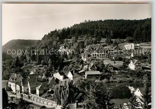 AK / Ansichtskarte Bad Liebenzell Panorama Kat. Bad Liebenzell