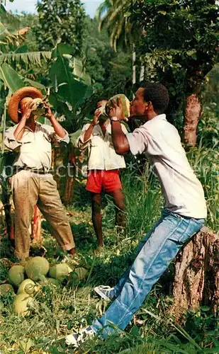 AK / Ansichtskarte Martinique En buvant des noix de coco Kat. Martinique