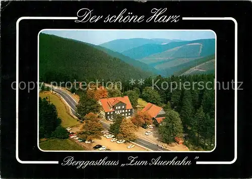 AK / Ansichtskarte Hahnenklee Bockswiese Harz Berggasthaus Zum Auerhahn Kat. Goslar