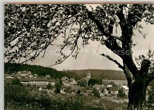 AK / Ansichtskarte Luetzenhardt Hotel Pension Hirsch Panorama Kat. Waldachtal