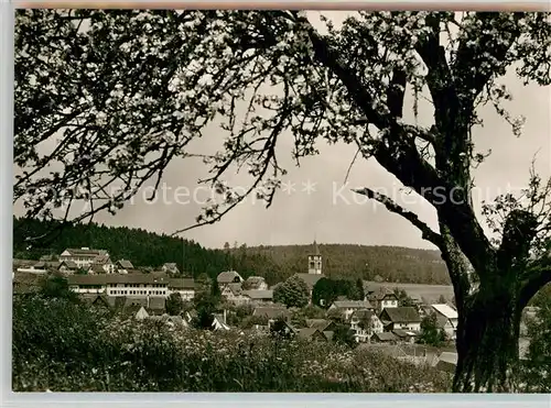 AK / Ansichtskarte Luetzenhardt Panorama Kat. Waldachtal