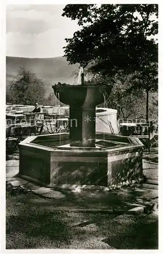 AK / Ansichtskarte Schlierbach Heidelberg Kaffee Restaurant Wolfsbrunnen Kat. Heidelberg