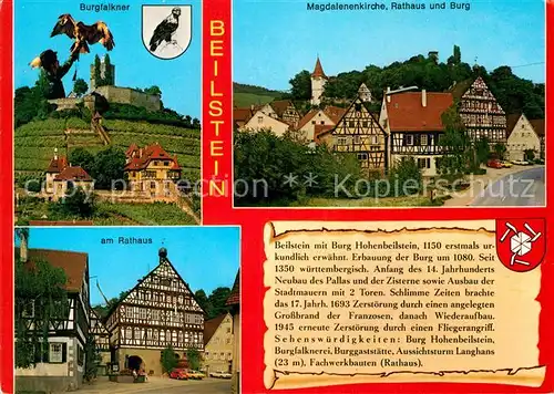 AK / Ansichtskarte Beilstein Wuerttemberg Burgfalkner Magdalenenkirche Rathaus und Burg Kat. Beilstein