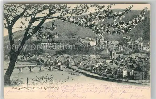 AK / Ansichtskarte Heidelberg Neckar Panorama Kat. Heidelberg