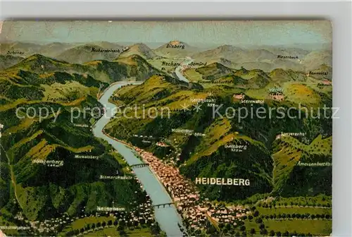 AK / Ansichtskarte Heidelberg Neckar Panoramakarte Kat. Heidelberg