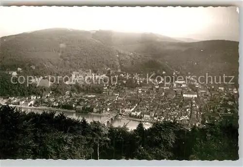 AK / Ansichtskarte Heidelberg Neckar Panorama Kat. Heidelberg