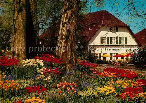 AK / Ansichtskarte Mainau Schwedenschenke  Kat. Konstanz