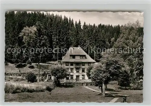 AK / Ansichtskarte Titisee Gasthof Pension Loeffelschmiede Kat. Titisee Neustadt