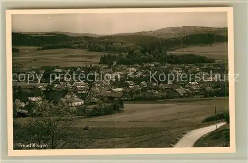 AK / Ansichtskarte Treuchtlingen Teilansicht  Kat. Treuchtlingen