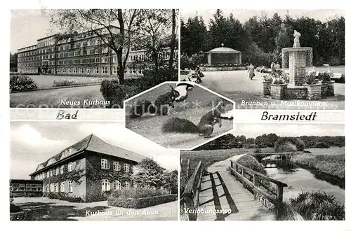 AK / Ansichtskarte Bad Bramstedt Neues Kurhaus Brunnen Musikpavillon Verlobungssteg Kat. Bad Bramstedt