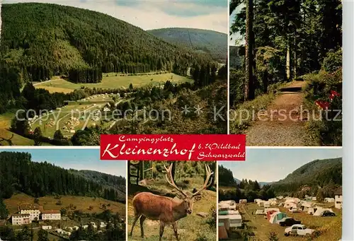 AK / Ansichtskarte Wildbad Schwarzwald Panorama Campingplatz Kleinenzhof Waldweg Hirsch Kat. Bad Wildbad
