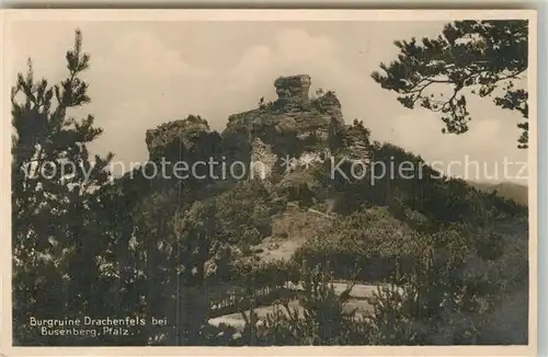 AK / Ansichtskarte Busenberg Pfalz Burgruine Drachenfels Kat. Busenberg