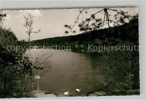 AK / Ansichtskarte Erlenbach Bad Bergzabern Partie am See Kat. Bad Bergzabern