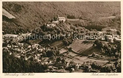 AK / Ansichtskarte Schwarzburg Thueringer Wald Fliegeraufnahme Kat. Schwarzburg