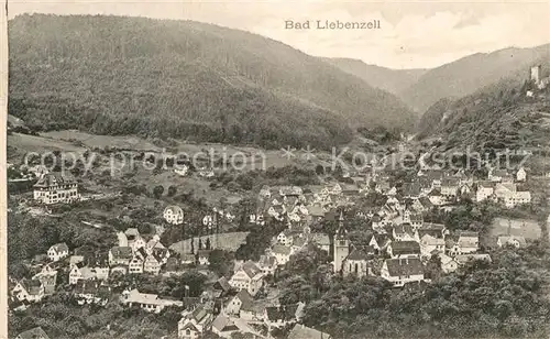 AK / Ansichtskarte Bad Liebenzell Teilansicht  Kat. Bad Liebenzell