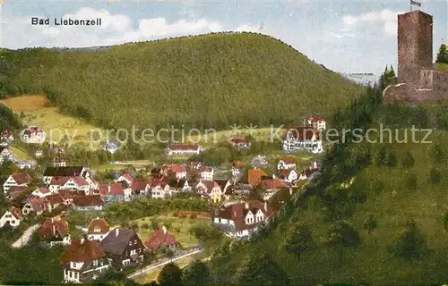 AK / Ansichtskarte Bad Liebenzell Teilansicht mit Burg Kat. Bad Liebenzell