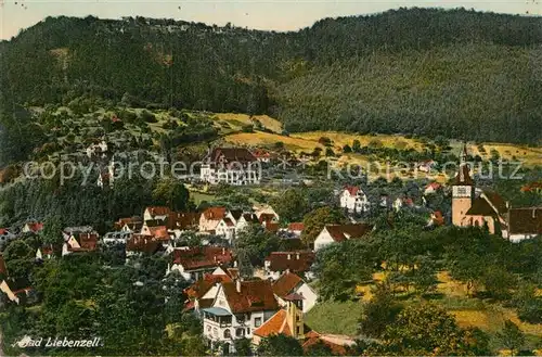 AK / Ansichtskarte Bad Liebenzell Panorama  Kat. Bad Liebenzell