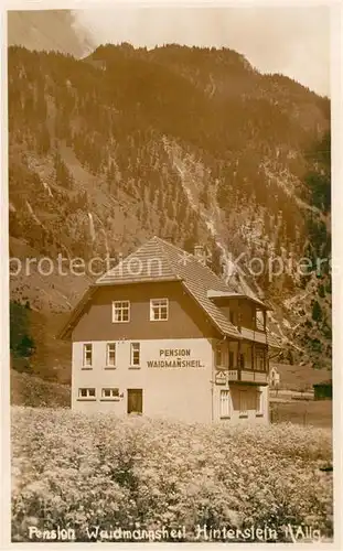 AK / Ansichtskarte Hinterstein Bad Hindelang Pension Waidmannsheil