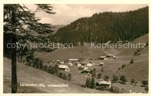 AK / Ansichtskarte Hinterstein Bad Hindelang Vorderes Dorf