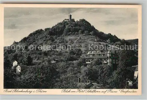 AK / Ansichtskarte Blankenburg Bad Ruine Greifenstein Kat. Bad Blankenburg