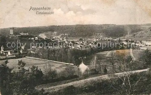 AK / Ansichtskarte Pappenheim Mittelfranken Panorama Kat. Pappenheim