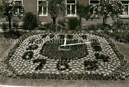 AK / Ansichtskarte Greiz Thueringen Blumenuhr am Eingang zum Leninpark Kat. Greiz