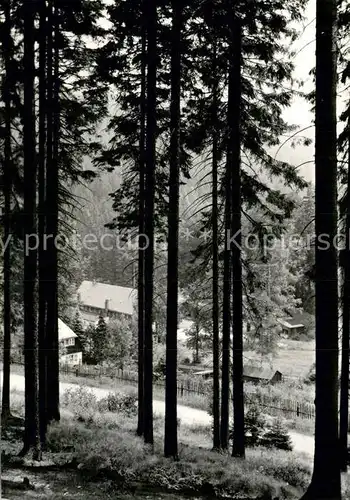 AK / Ansichtskarte Poebeltal Ferienheim Wahlsmuehle der SDAG Wismut Waldpartie Kat. Schmiedeberg Osterzgebirge