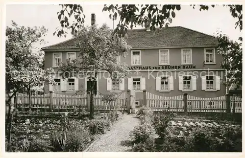 AK / Ansichtskarte Neckargerach Gasthaus zum Gruenen Baum Kat. Neckargerach