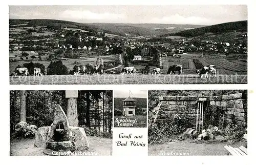 AK / Ansichtskarte Bad Koenig Odenwald Gesundheitsbrunnen Erlenbrunnen Panorama  Kat. Bad Koenig