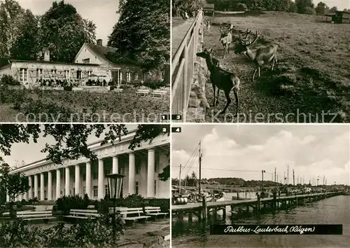 AK / Ansichtskarte Lauterbach Putbus Rosencafe Haus Goor Erholungsheim Wildgehege Hafen Kat. Putbus Ruegen