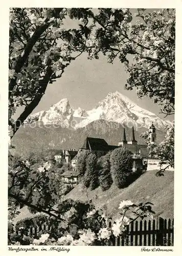AK / Ansichtskarte Berchtesgaden im Fruehling Alpenblick Kat. Berchtesgaden