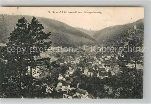 AK / Ansichtskarte Bad Liebenzell Blick vom Lehmgrubenweg Kat. Bad Liebenzell