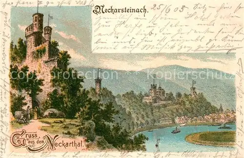 AK / Ansichtskarte Neckarsteinach Schloesser Kat. Neckarsteinach