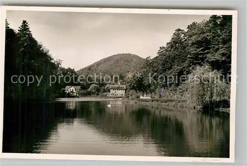 AK / Ansichtskarte Bad Bergzabern Stauweiher Kat. Bad Bergzabern