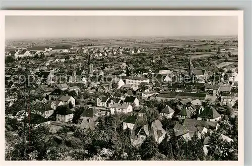 AK / Ansichtskarte Bad Bergzabern Panorama Kat. Bad Bergzabern