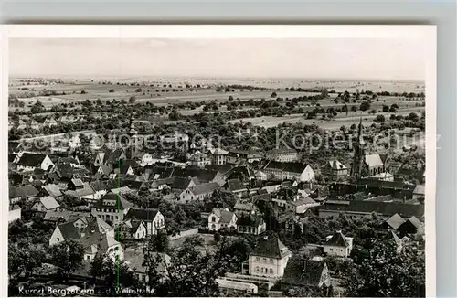 AK / Ansichtskarte Bad Bergzabern Panorama Kat. Bad Bergzabern