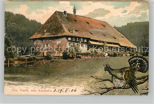 AK / Ansichtskarte Aha Schluchsee Gasthaus zum Auerhahn Kat. Schluchsee