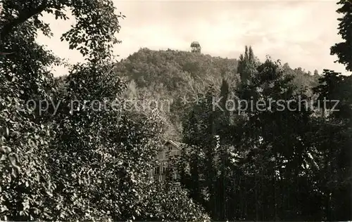AK / Ansichtskarte Bad Suderode Waldpartie Blick zum Thomas Muenzer Turm Kat. Bad Suderode