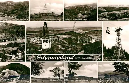 AK / Ansichtskarte Schauinsland Guenterstal Bergbahn Gipfel Steinwasen Kappeler Wand Alpenblick Feldberg Belchen Schwarzwald Kat. Oberried