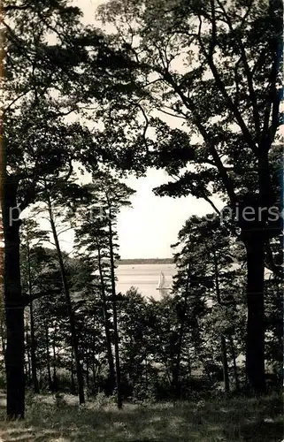 AK / Ansichtskarte Heidesee Blick aus Dubrow Naturschutzgebiet auf Hoelzernen See Handabzug Kat. Heidesee