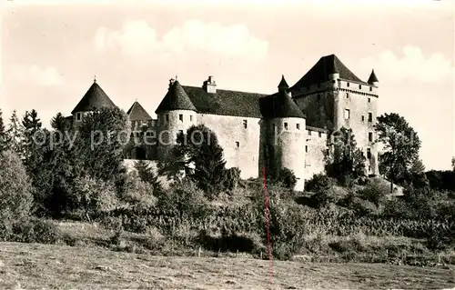 AK / Ansichtskarte Lons le Saunier Jura Chateau du Pin Schloss Kat. Lons le Saunier