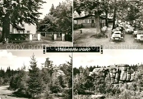 AK / Ansichtskarte Viktorshoehe Bergraststaette Ferienheim Grosse Teufelsmuehle Felsen Kat. Friedrichsbrunn