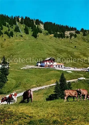 AK / Ansichtskarte Obermaiselstein Grasgehren am Riedbergerhorn Kuehe Kat. Obermaiselstein