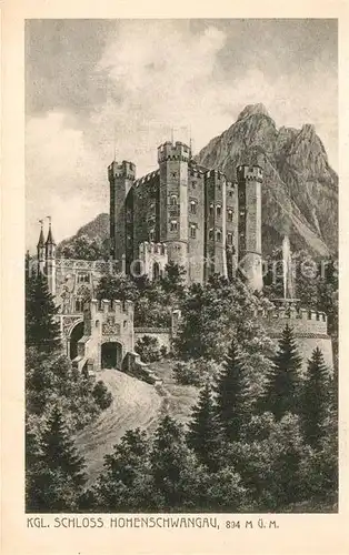 AK / Ansichtskarte Hohenschwangau Schloss Kat. Schwangau